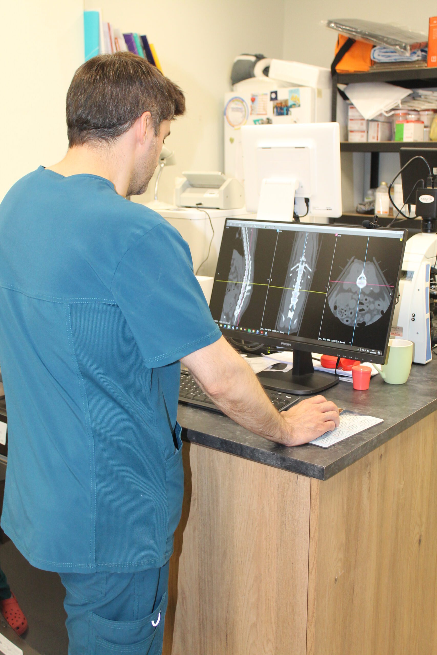 Veterinario con uniforme azul analizando tomografía computarizada de columna vertebral en monitor Philips