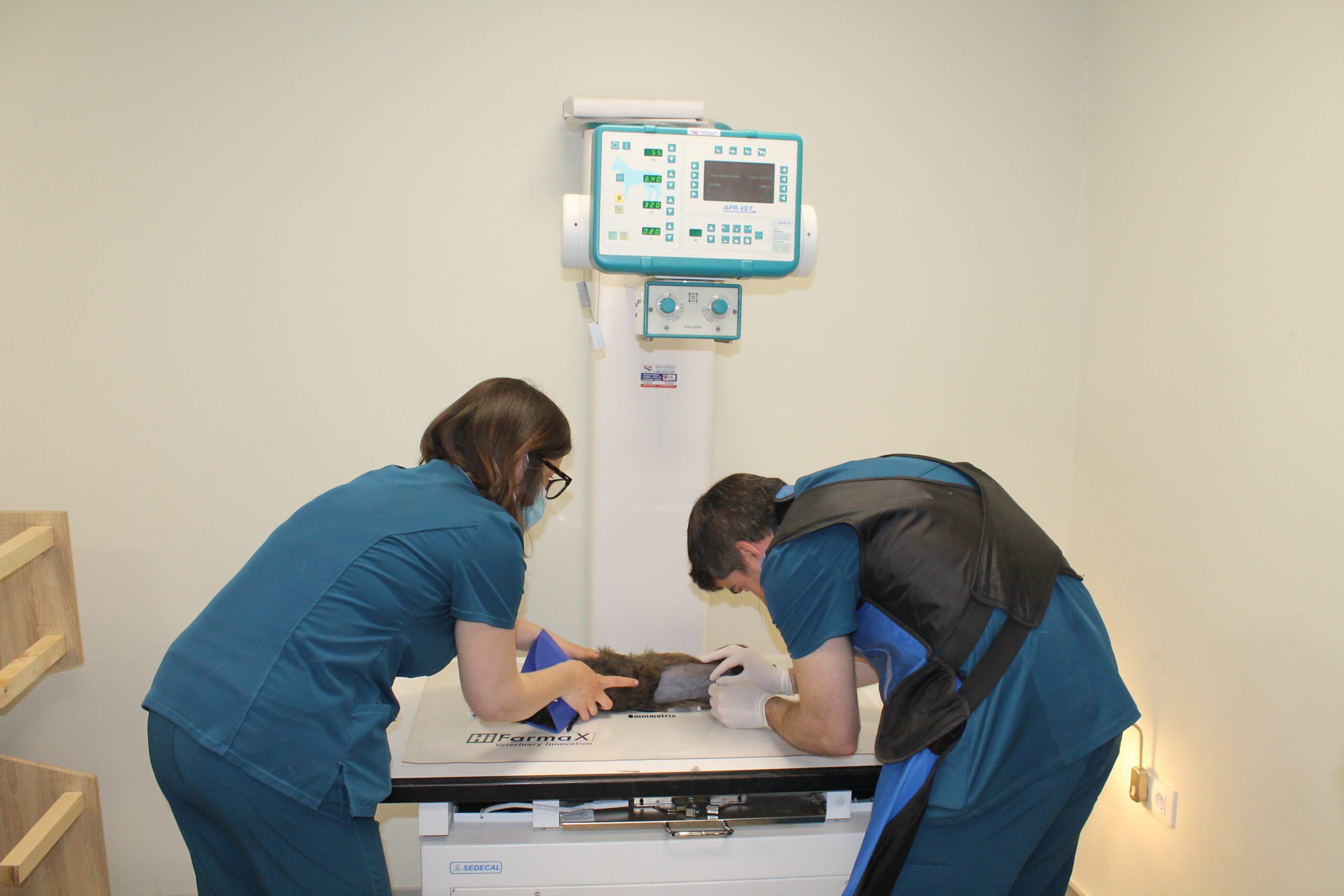 Veterinarios tomando radiografía a un animal en clínica veterinaria con equipo APR-VET y mesa HiFarmaX